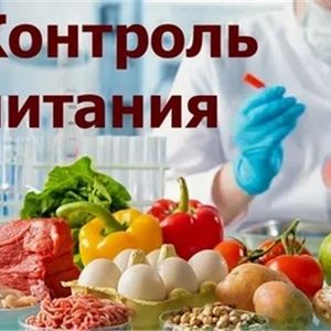 Родительский контроль за организацией горячего питания